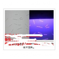 江蘇熒光防偽標(biāo)貼 光聚合防偽標(biāo)識(shí)專業(yè)印刷 多樣設(shè)計(jì)品質(zhì)優(yōu)良